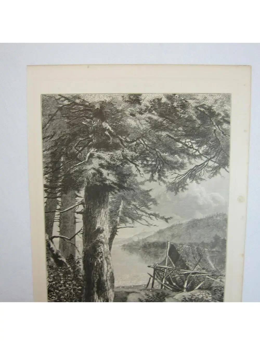 Art Print Hemlock Trees Lake Otsego New York Nature John A. Hows Antique 1874